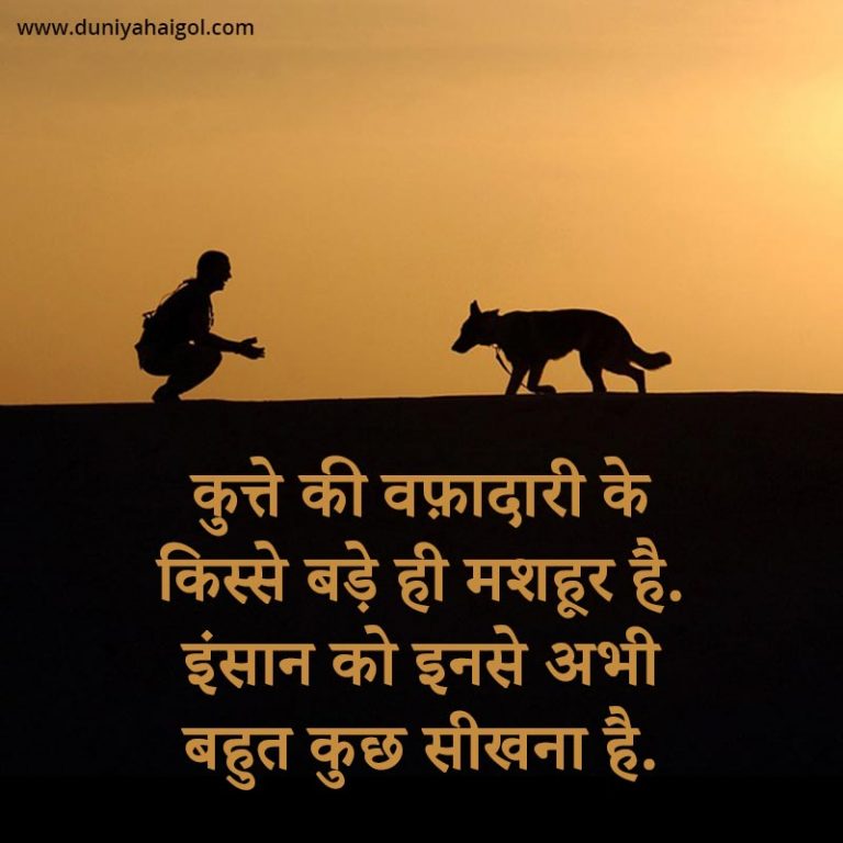 Dog Status in Hindi | Dog Quotes in Hindi - दुनियाहैगोल