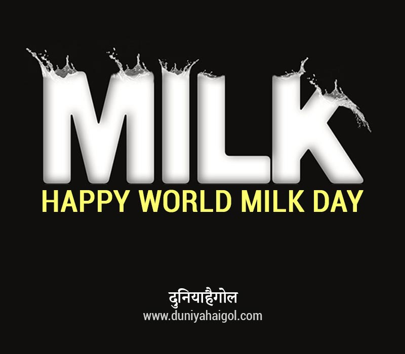 World Milk Day Shayari Status Quotes In Hindi विश्व दुग्ध दिवस शायरी स्टेटस कोट्स